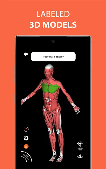 Medical Terminology Learning Q screenshot 8