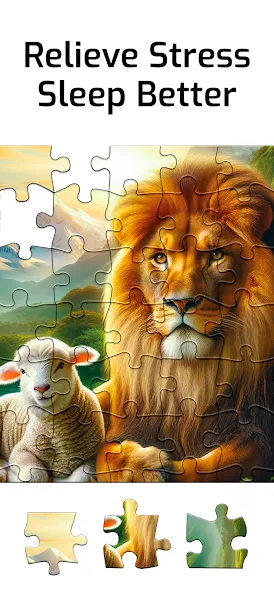 Bible Jigsaw Puzzles screenshot 5