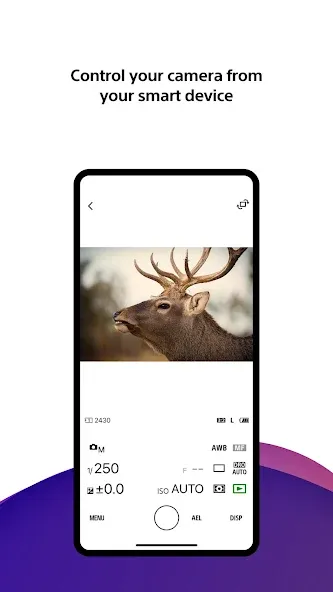 Sony | Creators' App screenshot 7