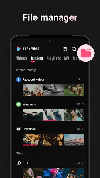 Lark Video Player screenshot 2