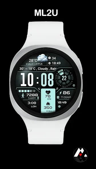 ML2U 134b Digital Hybrid screenshot 9