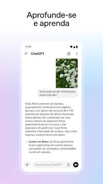 ChatGPT screenshot 6