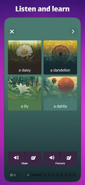 OkyDoky - Language Courses screenshot 6