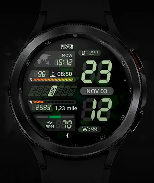Chester LCD2 watch face screenshot 5