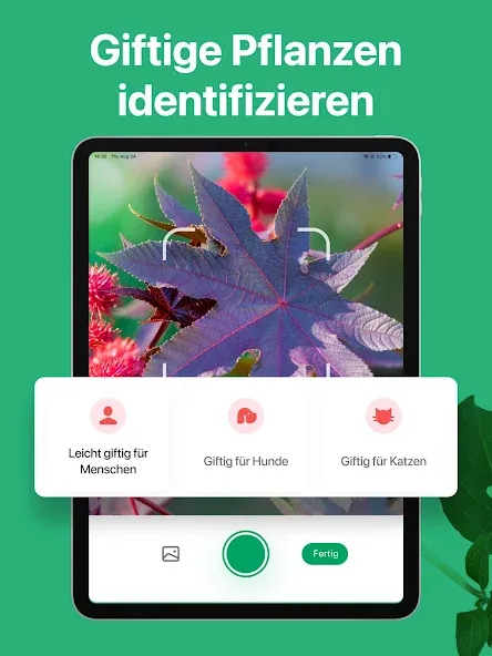 PictureThis:Pflanzen bestimmen screenshot 14