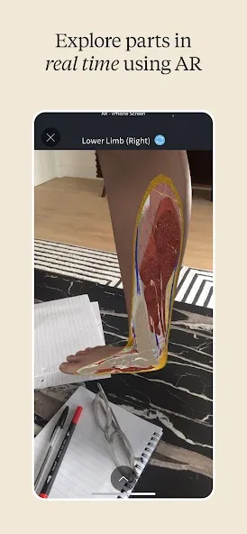 Complete Anatomy - Learn in 3D screenshot 7