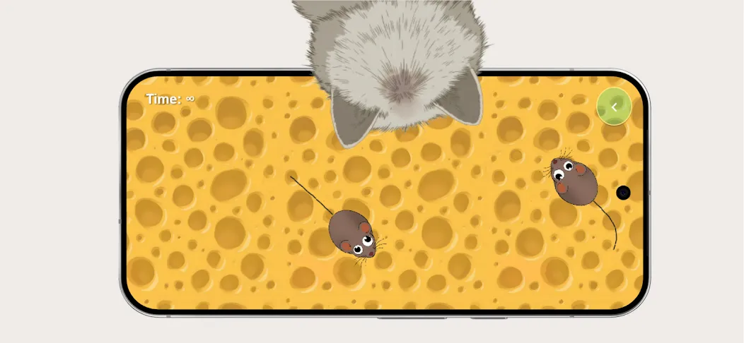 Cat Toy: Mouse Catching Game screenshot 8