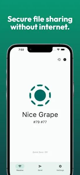 LocalSend: Transfer Files screenshot 1