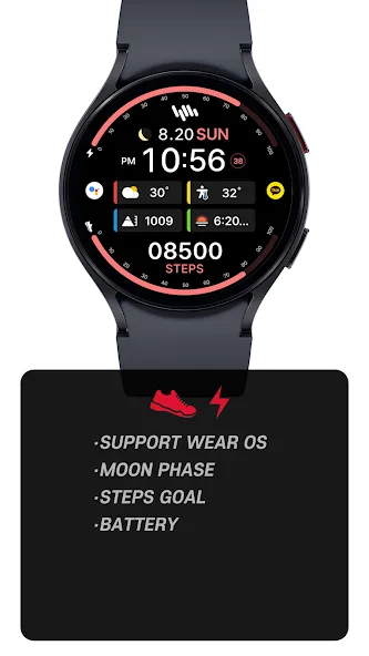 SamWatch InfoColor 2024 screenshot 2