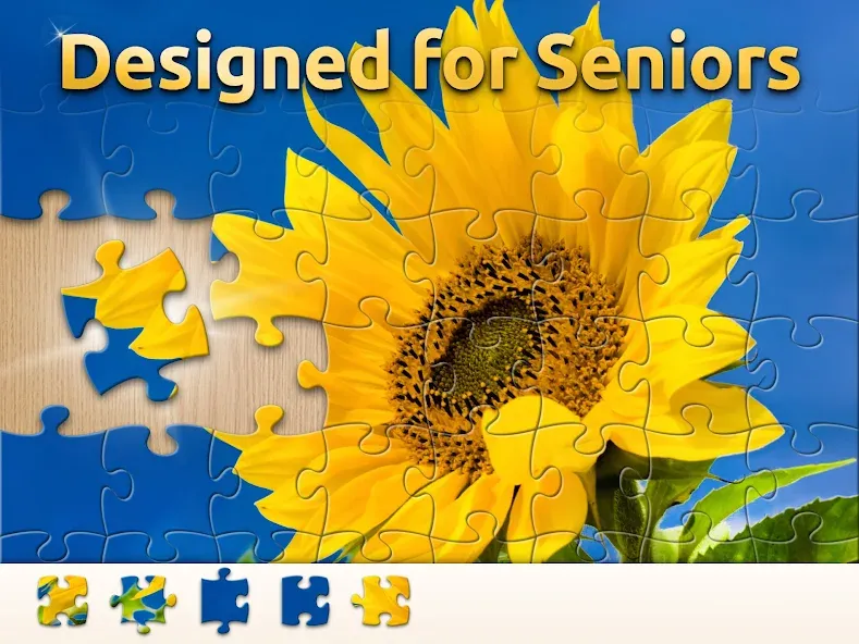Vita Jigsaw for Seniors screenshot 8