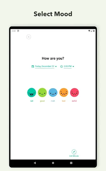 Daylio Journal - Mood Tracker screenshot 9