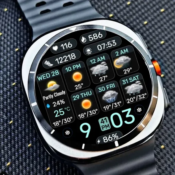 Weather Board 2 Black IW10 screenshot 6