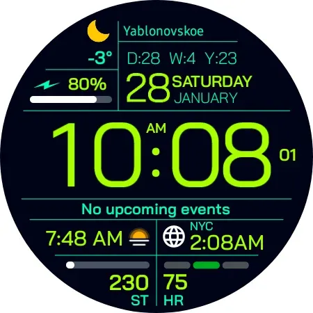 Chester Inform watch face screenshot 22