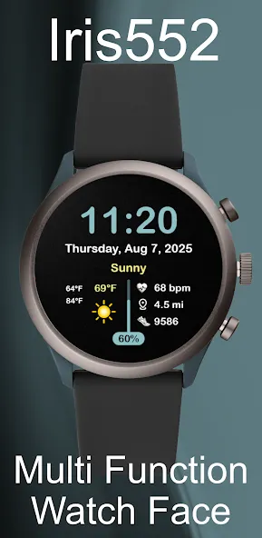 Iris552 Multi-Function Digital screenshot 19
