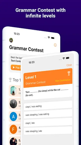 Cambridge English Grammar screenshot 8