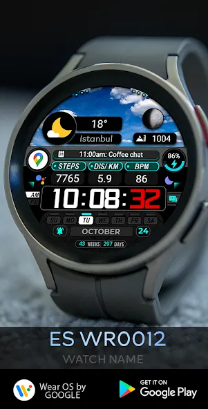ES WR0012 screenshot 1