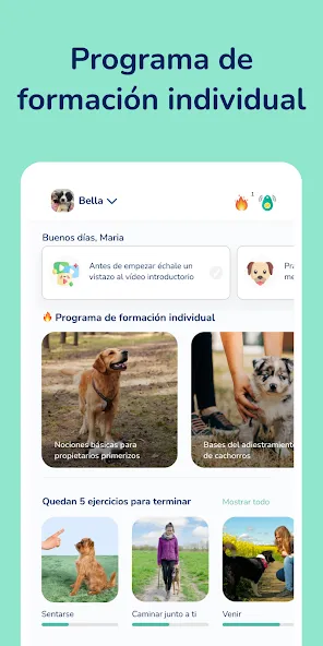 Hundeo - Entrenamiento perro screenshot 2