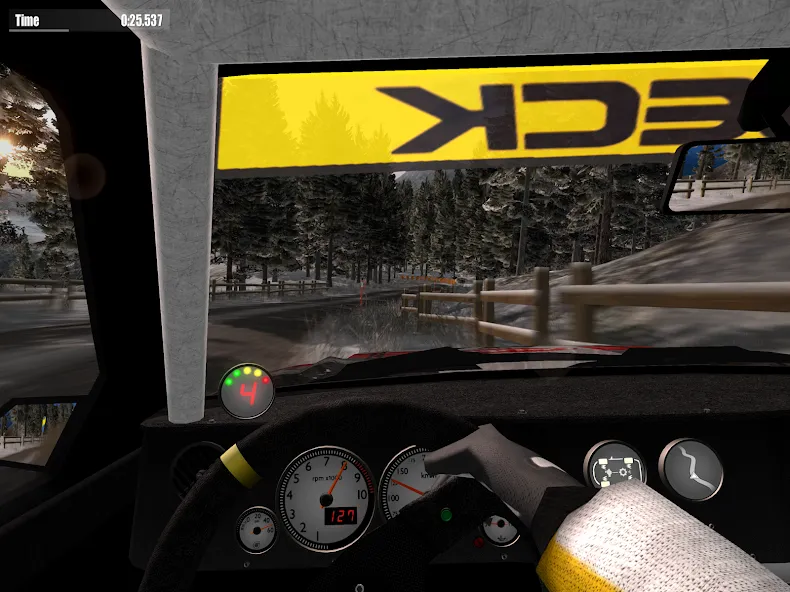 Rush Rally 3 screenshot 13