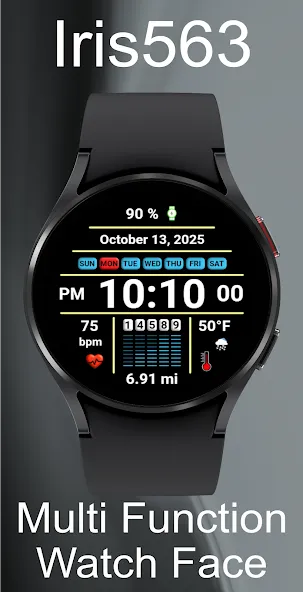 Iris563 Multi-Function Digital screenshot 20