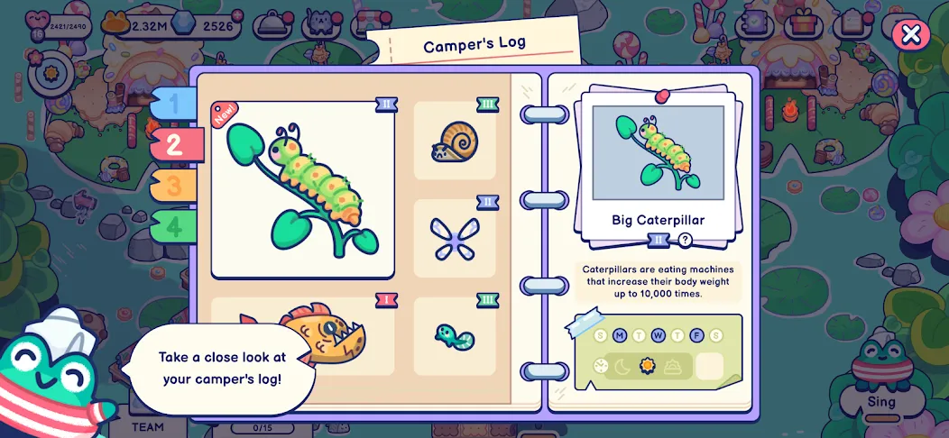 Pond Pals: Cozy Glamping Game screenshot 5