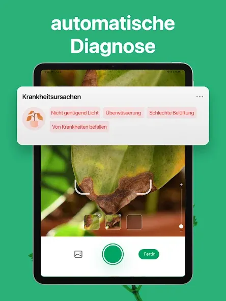 PictureThis:Pflanzen bestimmen screenshot 12