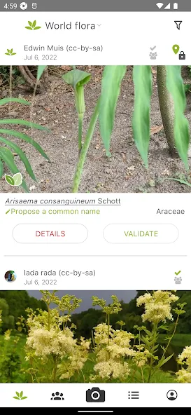 PlantNet Plant Identification screenshot 4