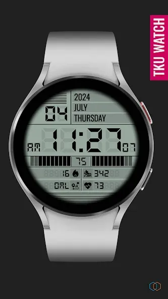 TkuWatch S014 Retro Watch Face screenshot 4