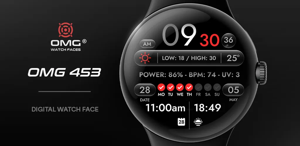 OMG 453 - Digital Dashboard screenshot 1