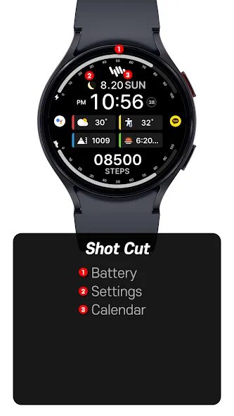 SamWatch InfoColor 2024 screenshot 3