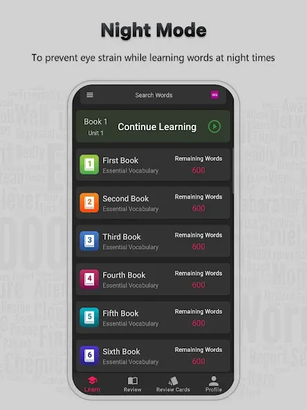 Essential Vocabulary screenshot 8