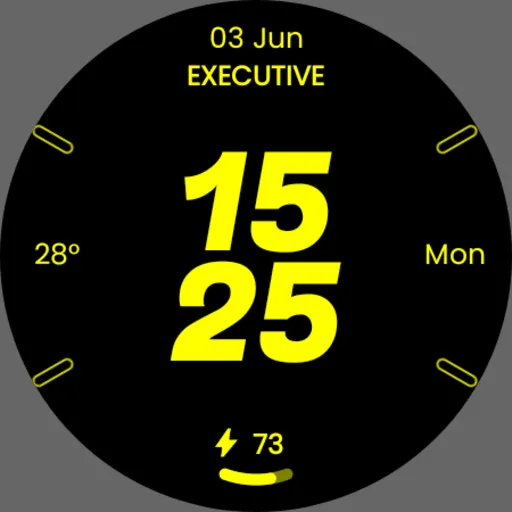 Embassy 2: Minimal Watch Face screenshot 29