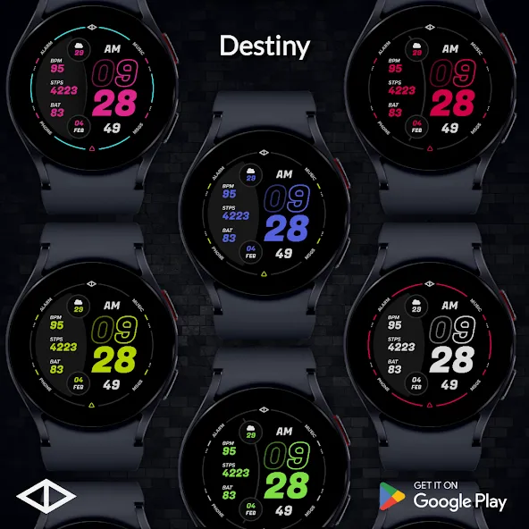 Destiny Watch Face screenshot 1