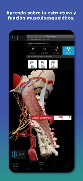 Atlas de anatomía humana 2026 screenshot 3