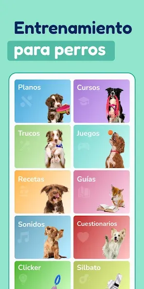 Hundeo - Entrenamiento perro screenshot 1