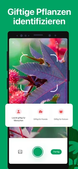 PictureThis:Pflanzen bestimmen screenshot 6