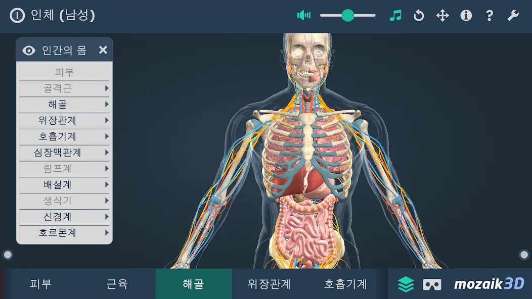 인체 (남성) screenshot 4