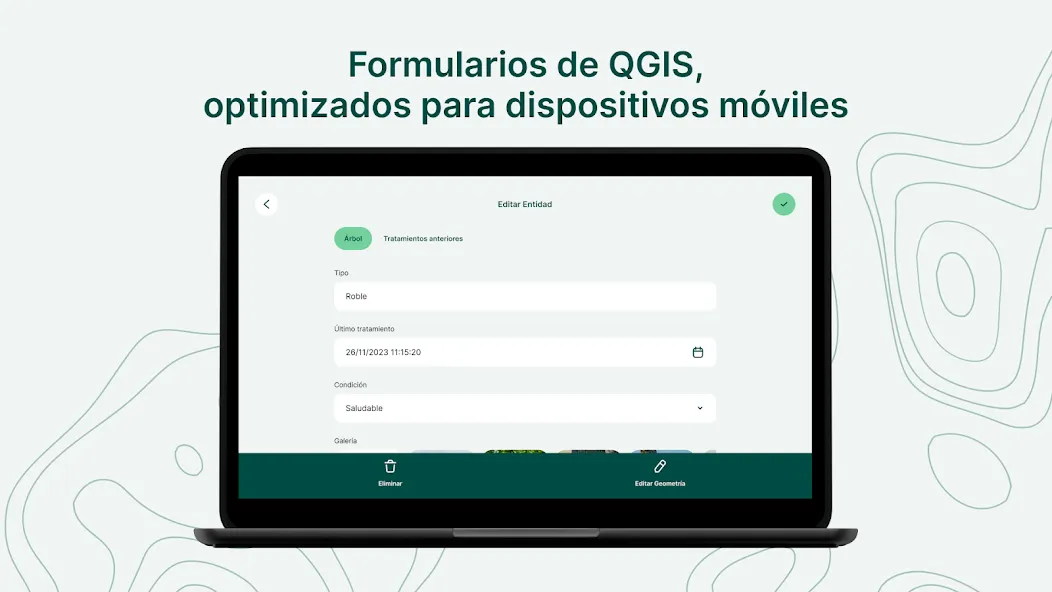 Mergin Maps: QGIS a mano screenshot 29