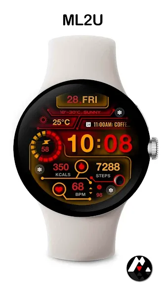 ML2U 217 Watch Face screenshot 12