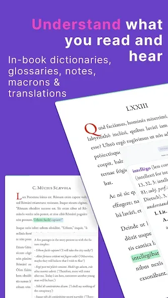 Legentibus: Learn Latin screenshot 14