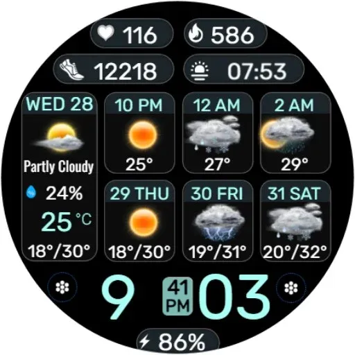 Weather Board 2 Black IW10 screenshot 20