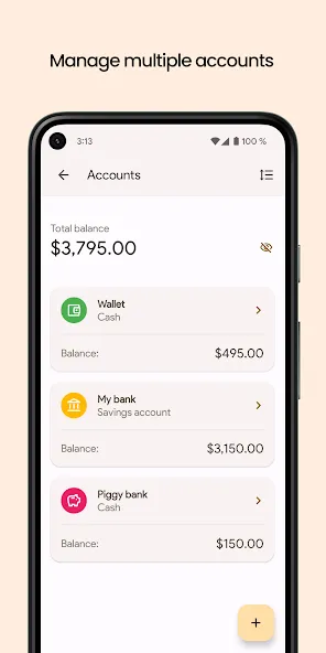 Finance Pro: Expense control screenshot 6