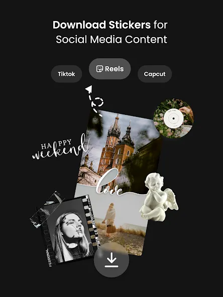 Vivisticker screenshot 11