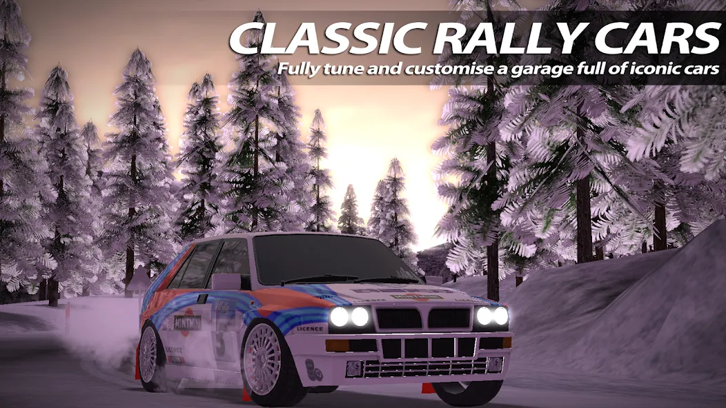 Rush Rally 2 screenshot 3