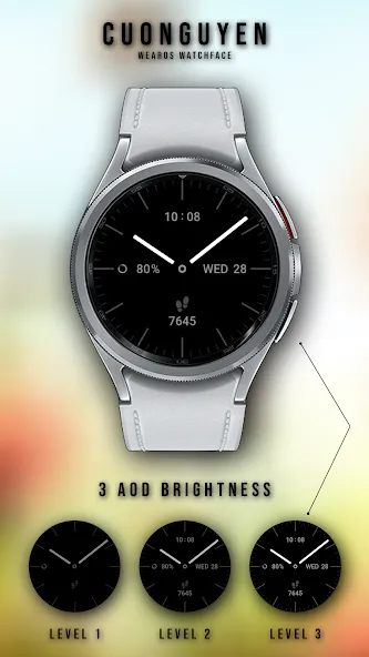 Watch face Vintage CNW0011 screenshot 2