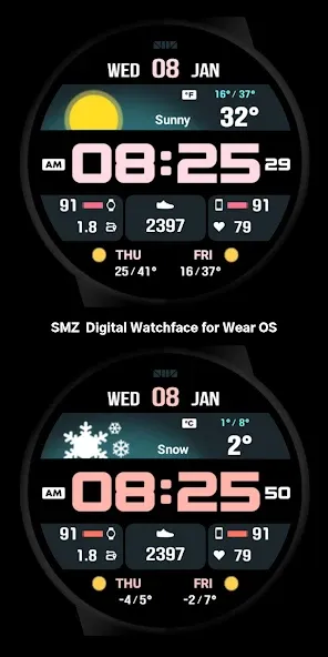 SMZ INTEGRITY5 screenshot 6