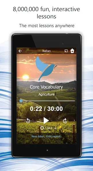 Learn 163 Languages | Bluebird screenshot 10