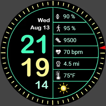 Iris551 Multi-Function Digital screenshot 24