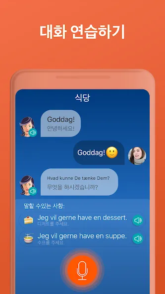 덴마크어 공부 - 지금 말하세요 screenshot 4