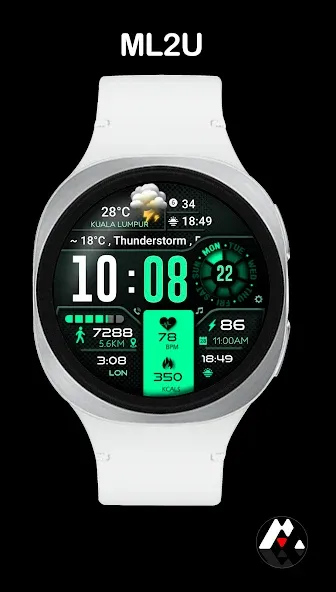 ML2U 134b Digital Hybrid screenshot 5