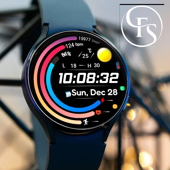 Digital FSW300 Watchface screenshot 3
